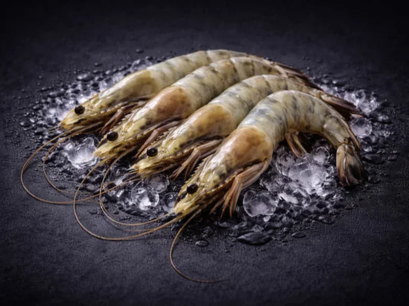 Spencer Gulf King Prawns